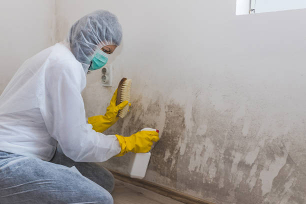 Best Toxic Mold Removal  in Grantville, GA