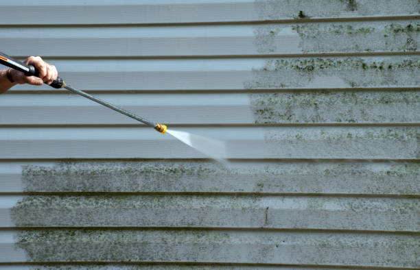 Best Commercial Mold Removal  in Grantville, GA