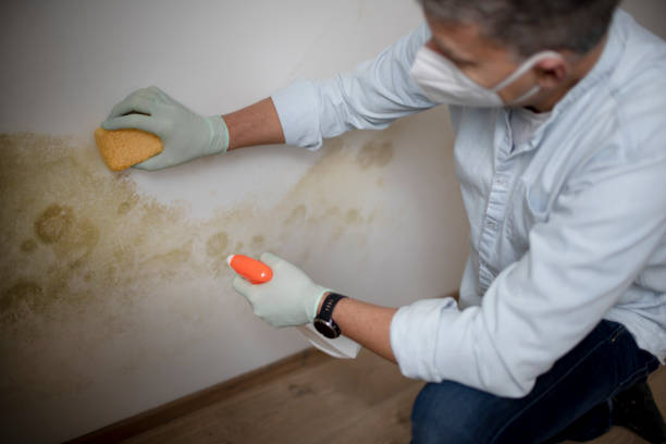 Best Water Damage Restoration  in Grantville, GA
