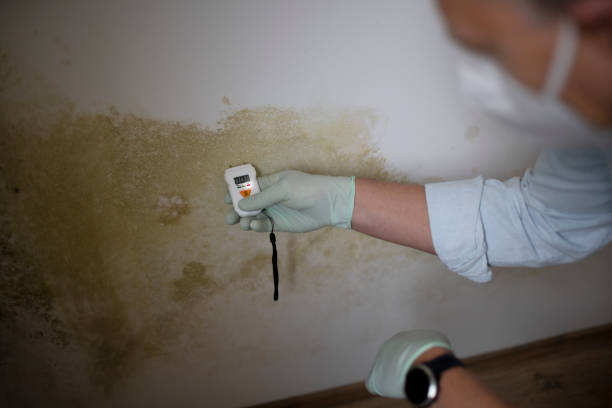 Best Fast Mold Removal  in Grantville, GA
