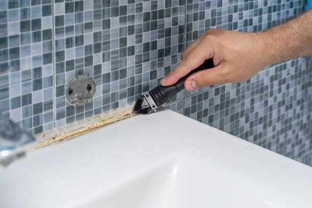 Best Local Mold Removal Service  in Grantville, GA