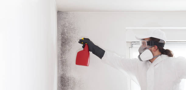 Home Mold Removal in Grantville, GA