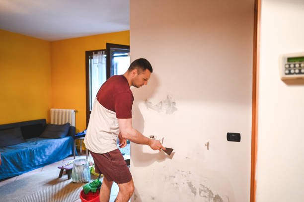 Best Same-Day Mold Removal  in Grantville, GA